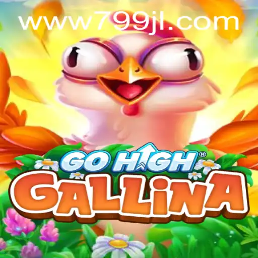 Discovering the Thrills of GoHighGallina